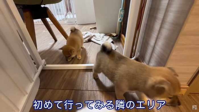 恐る恐る隣の部屋へ