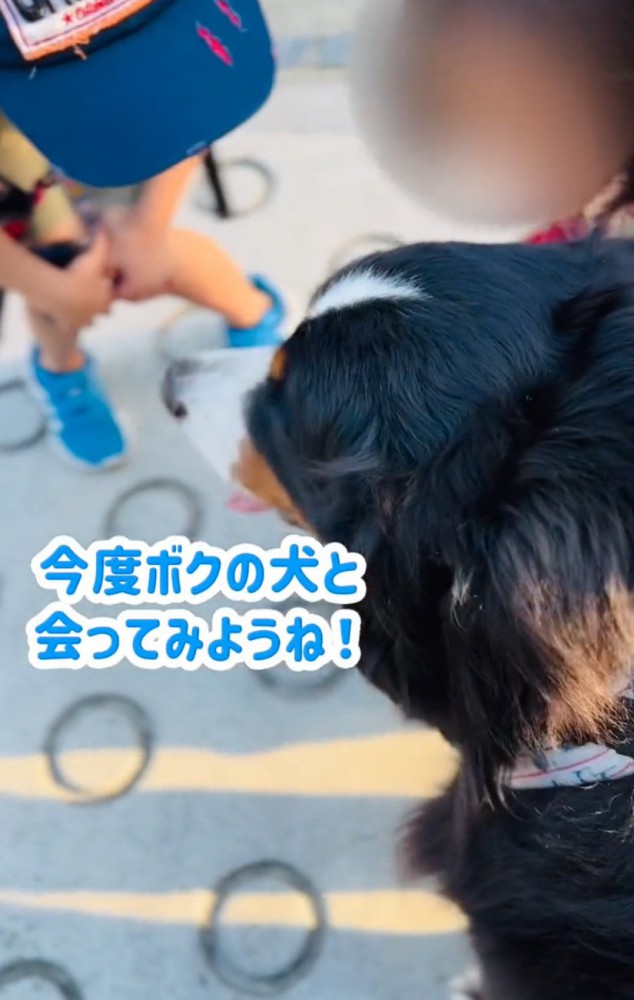 小学生に話しかけられる超大型犬