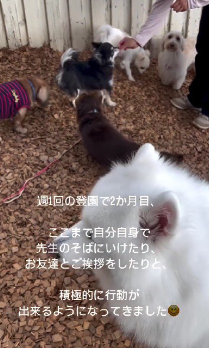 自分から近づいてくるように！