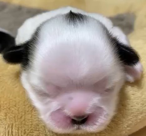 生まれて