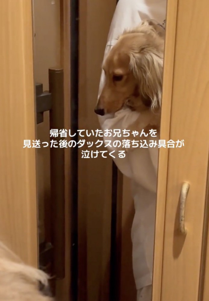 またすぐ会えるといいね