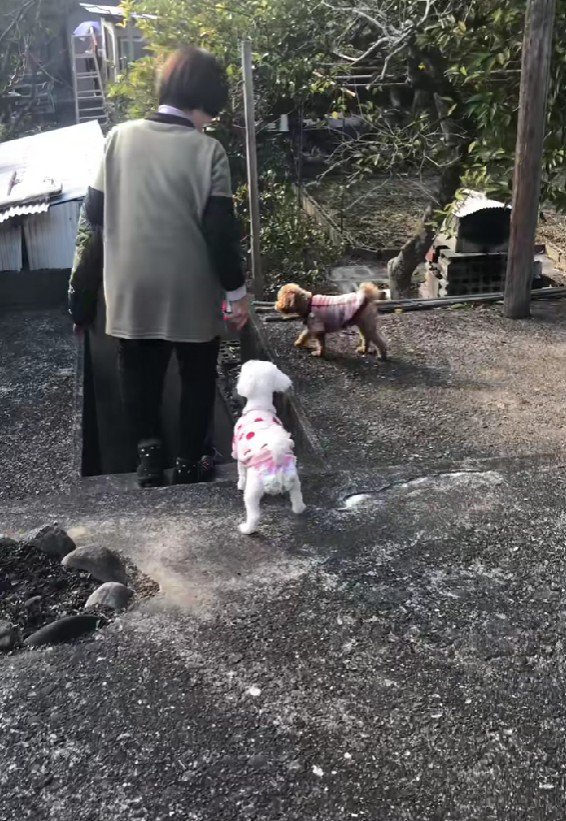 おばあちゃんのお墓参りへ