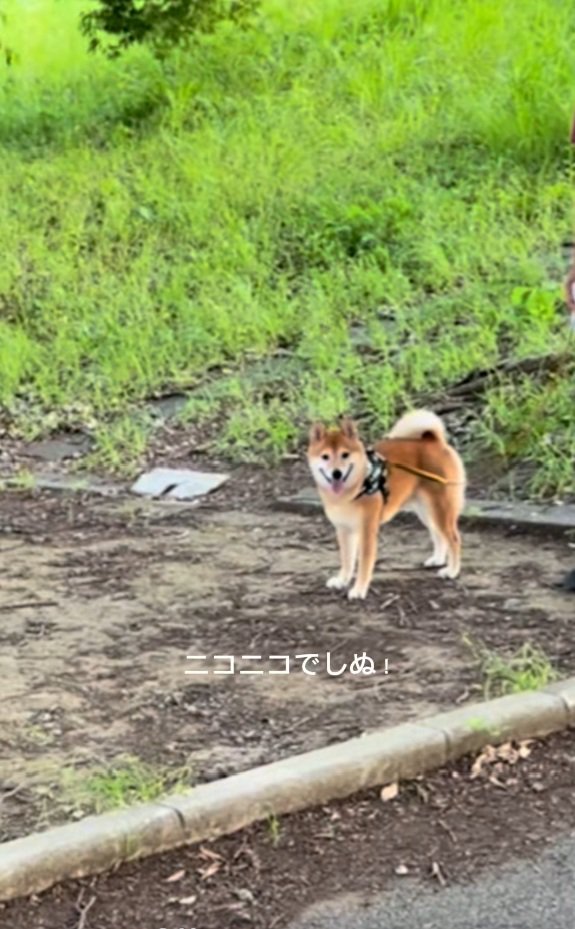 笑顔の福ちゃん