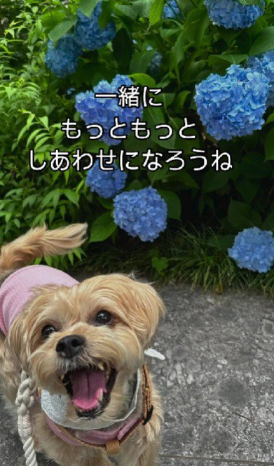 これからも幸せに…