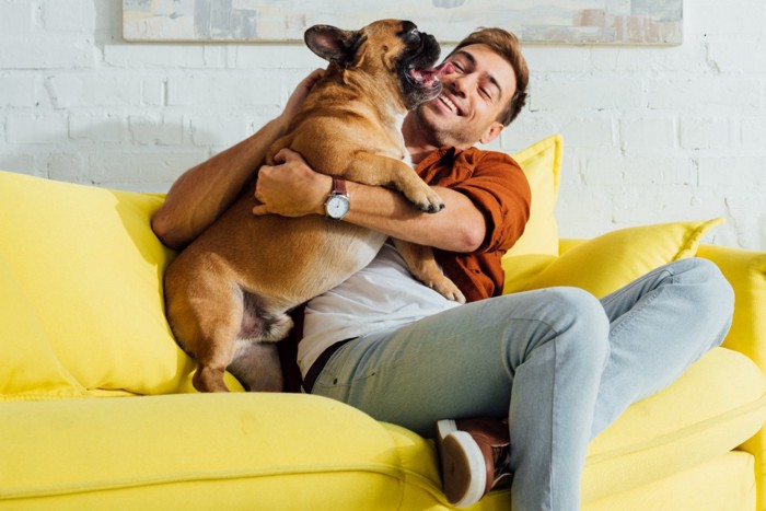 ソファの男性と戯れる犬