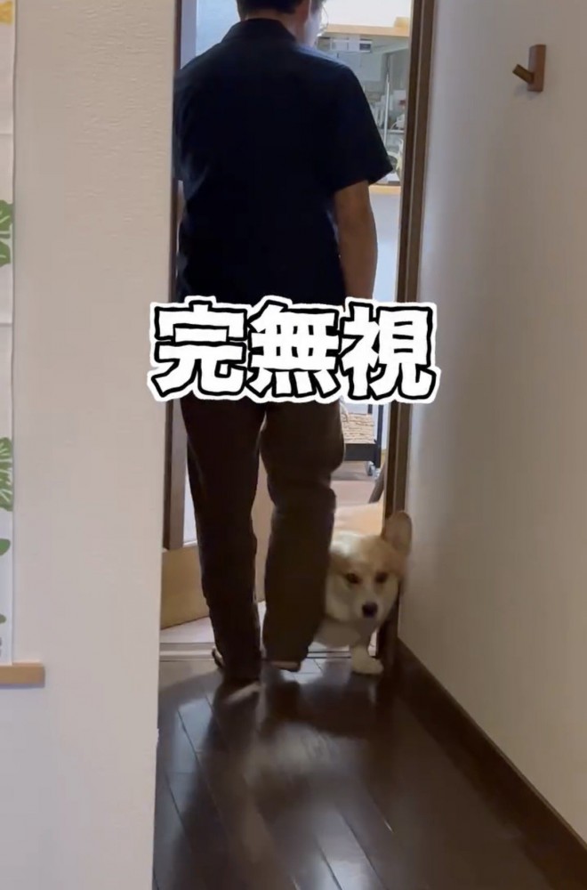 人の横を通り抜ける犬