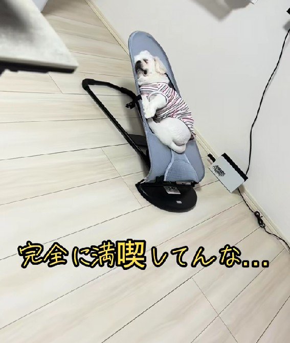 大御所感がスゴイ…！