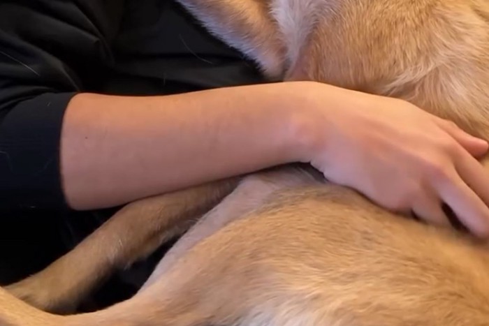 ご夫婦の愛犬であるアキちゃん
