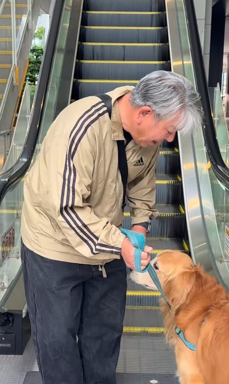大型犬が苦手なもの