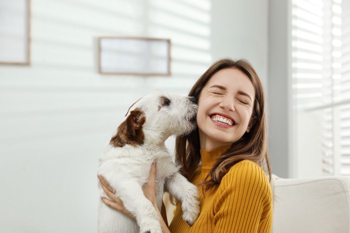 頬にキスする犬