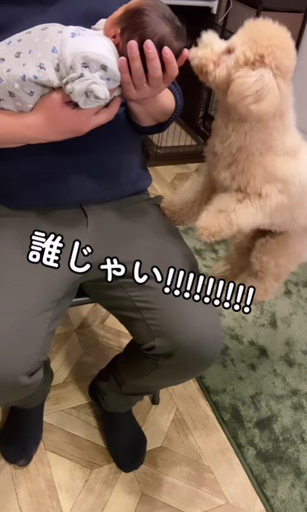 赤ちゃんに興味津々