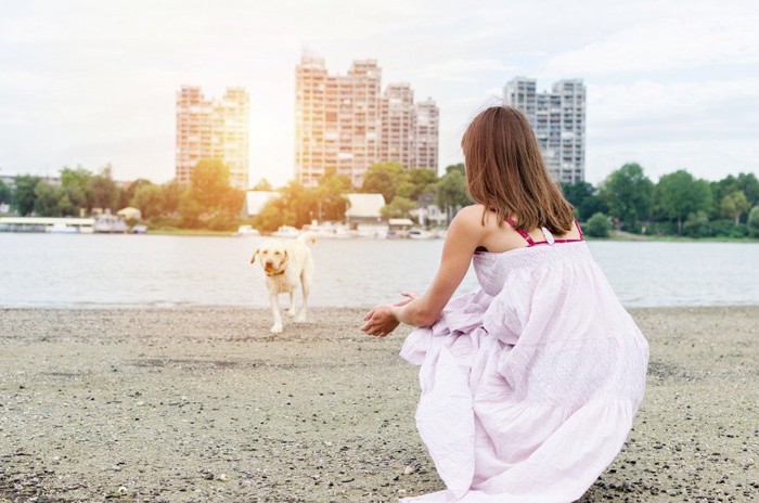 犬と女性