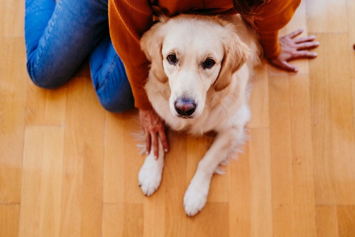 犬と女性