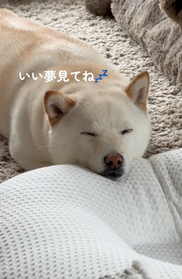 眠るカナちゃん