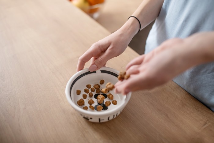 食器にドッグフードを入れる飼い主の手