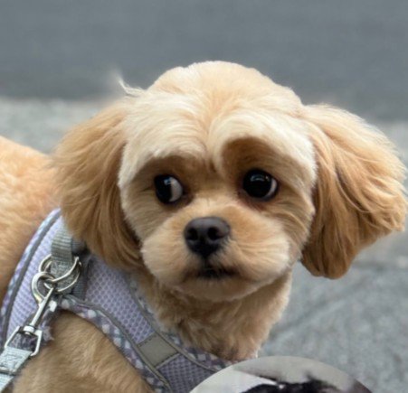 人間味がぐんと増した