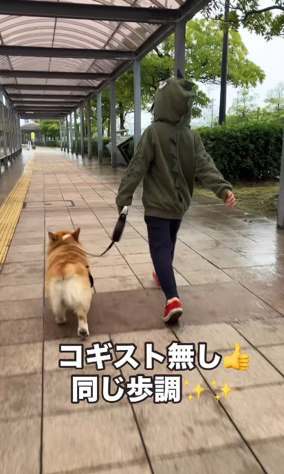 お姉ちゃんとは歩幅を合わせてくれるけど…