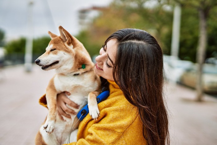 柴犬を抱っこする女性