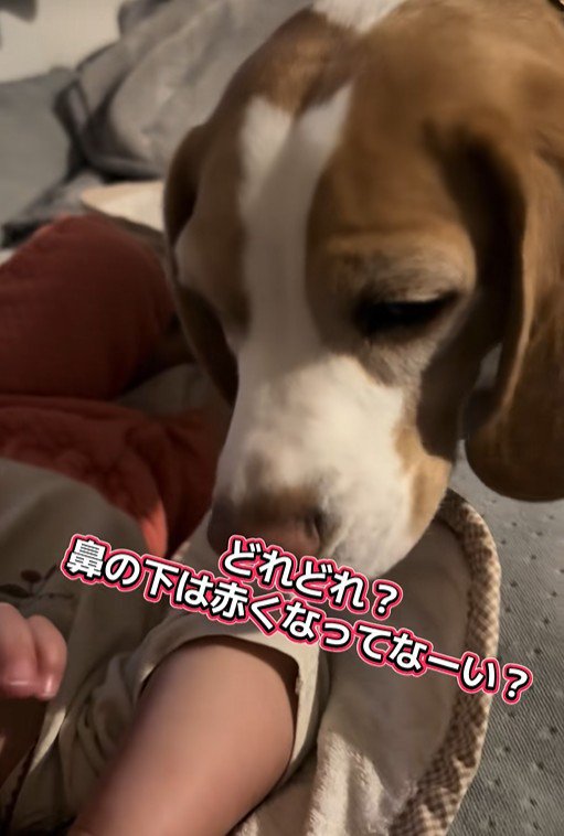 いさき君のチェックが入ります！