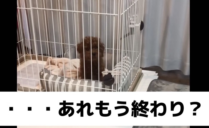 しれっとベッドへ