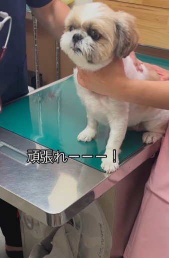 「大丈夫だよ」
