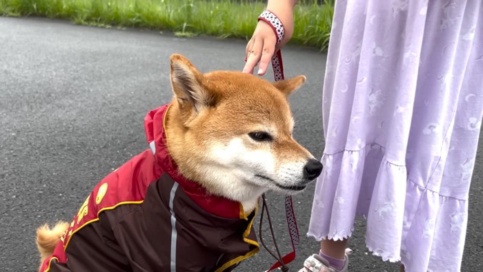 ふくれっ面の花子ちゃん