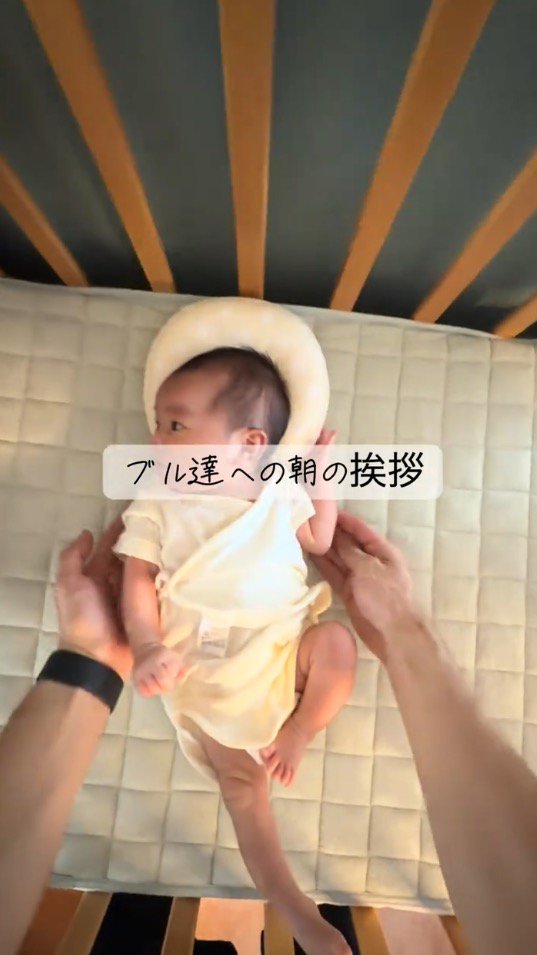 赤ちゃんに手を差し出す飼い主