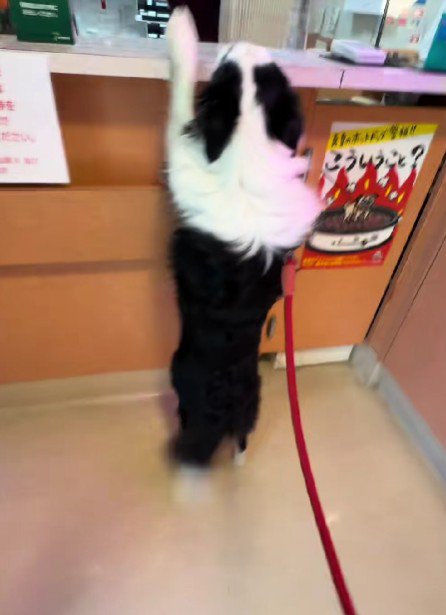 動物病院へ！！