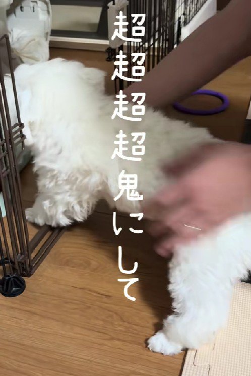 「いっちに、いっちに」