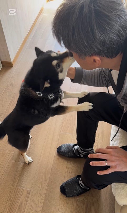 あずきちゃんとお父さんの再会7
