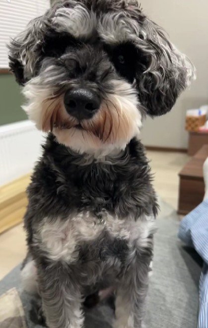 それでもやっぱり可愛い♡