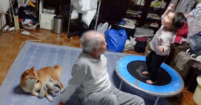 柴犬と女の子とおじいちゃん