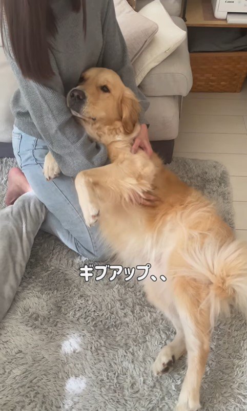 お風呂に入れたい飼い主さんVSシンくん3