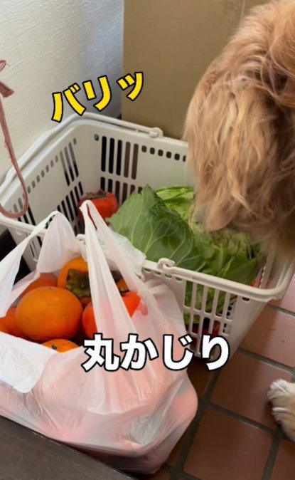 豪快に丸かじり♪