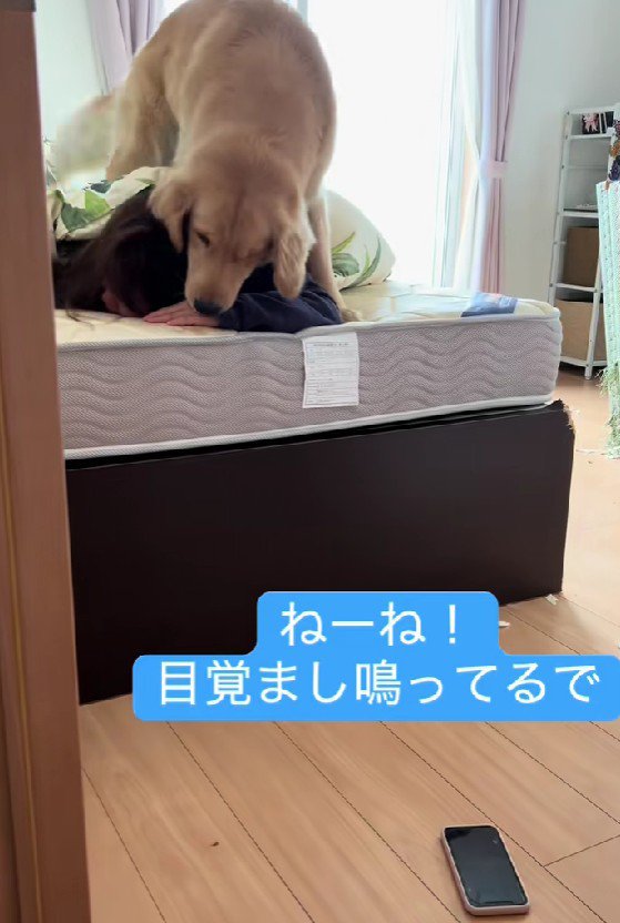 アラームが鳴り響く朝