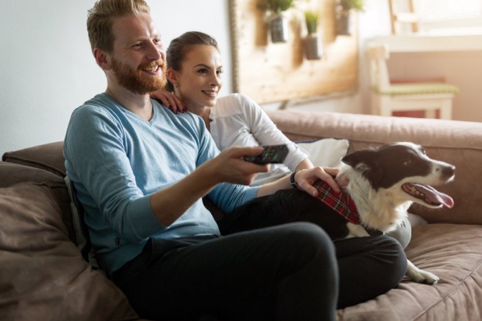 飼い主のカップルとテレビを見る犬