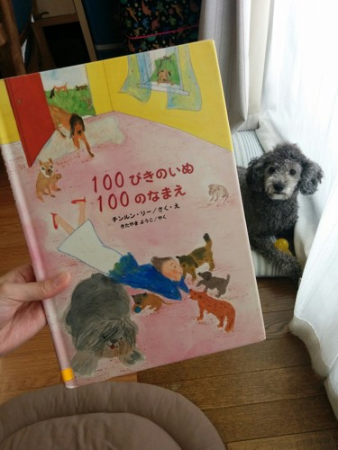 絵本を気にする犬