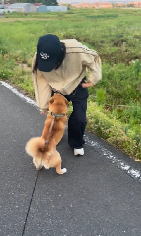 さぶろう君とお姉ちゃんの再会8