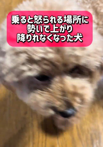 反省したら…