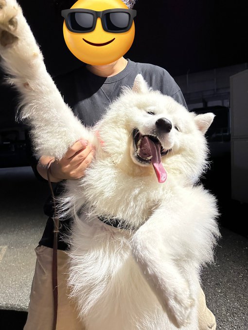 ニコニコ