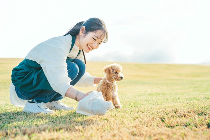 ウンチを取る女性と犬