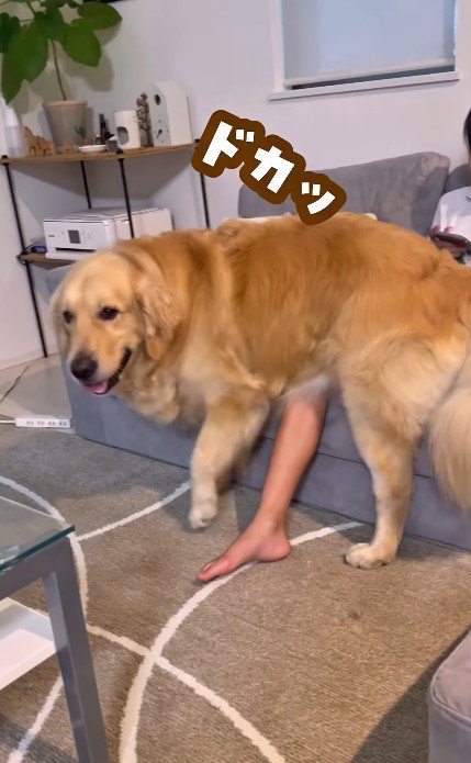 お姉ちゃんに体重をかけた！