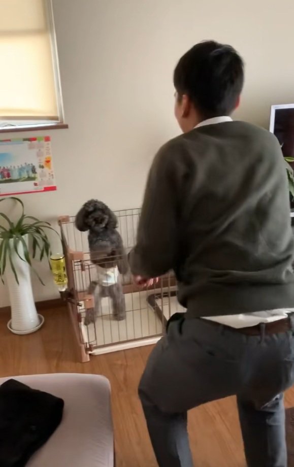 名コンビなふたり