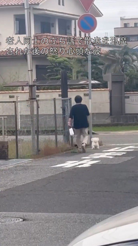 急いで道を走る犬と、犬のあとについていく女性