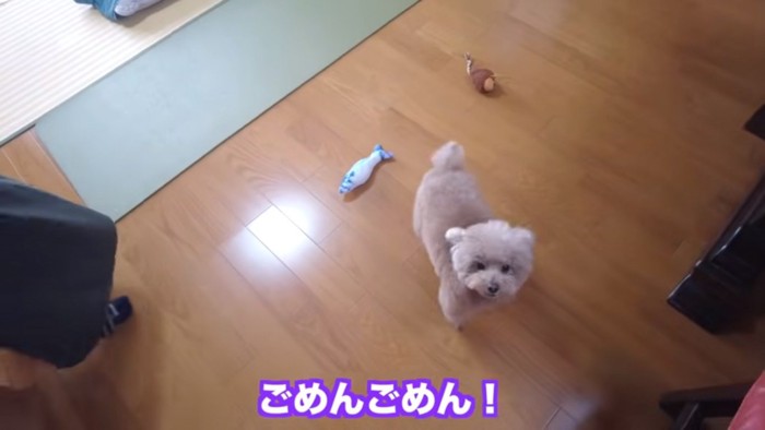 怒っている虎太郎くん
