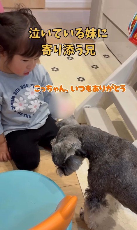 女の子に寄り添うこたろう君3