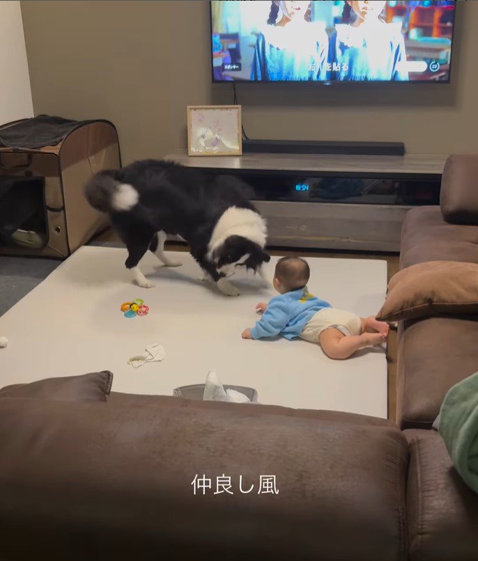 こり男くんと赤ちゃん3