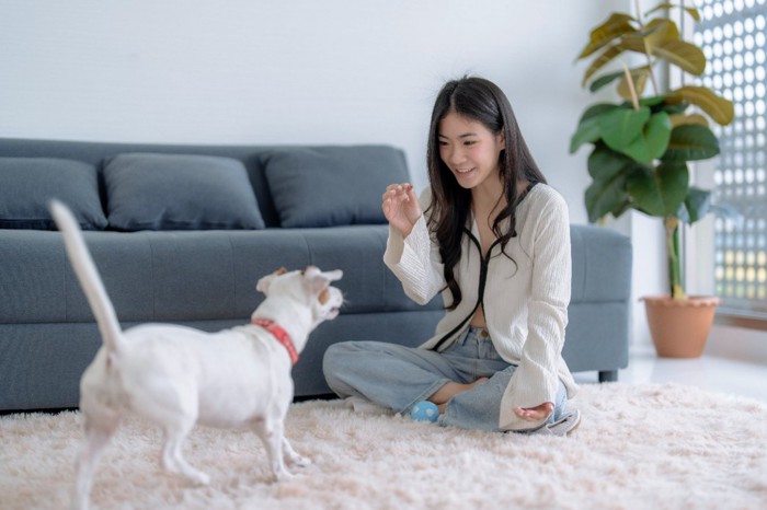 リビングで遊ぶ犬と女性