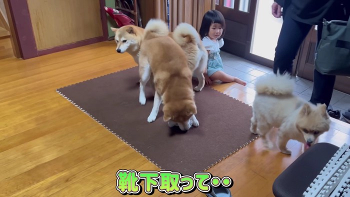「ばあば、おかえり！！」