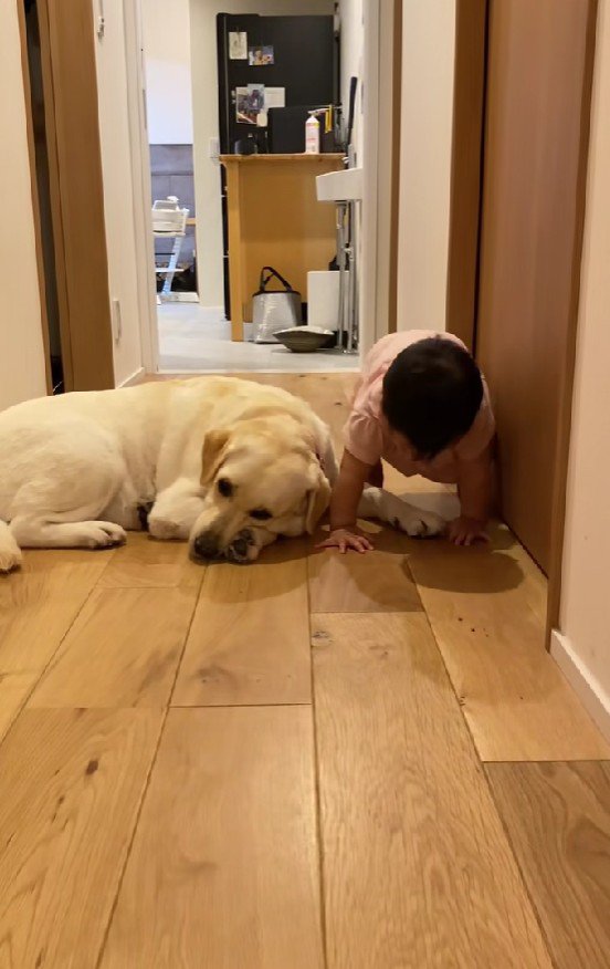 赤ちゃんが通過中…